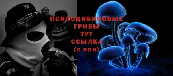 2c-b Арсеньев