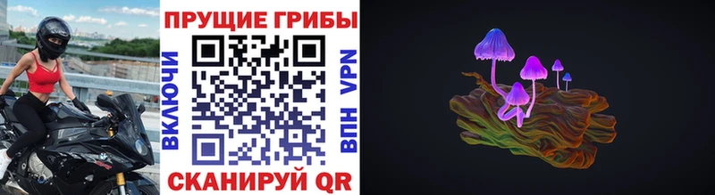 Купить где  Духовщина  Псилоцибиновые грибы мухоморы 